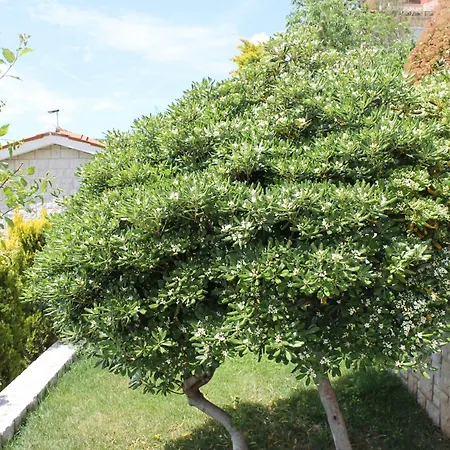 Apartment Mareblu *
